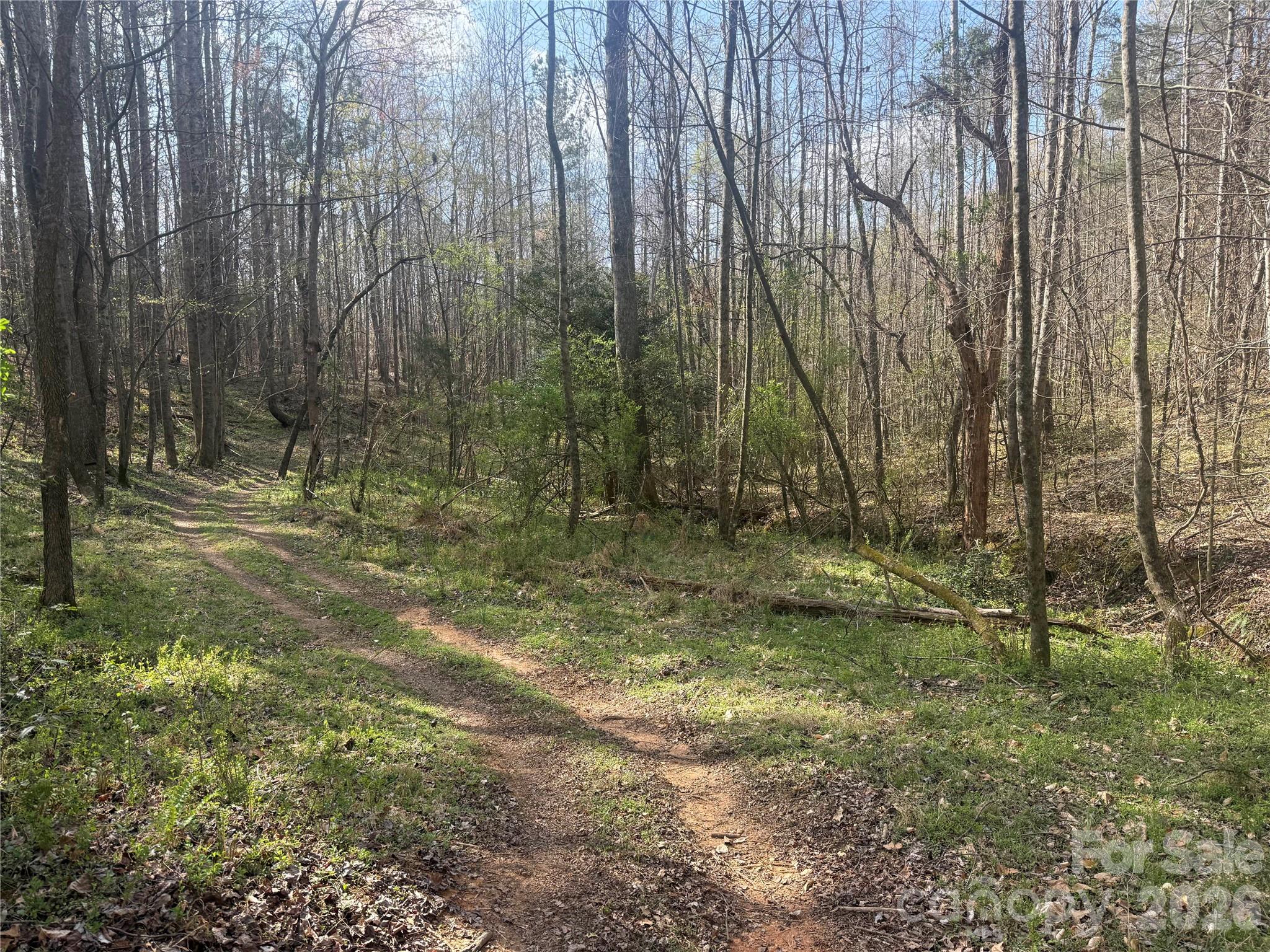 1164 Robert C Kellam Road Pinnacle NC 27043