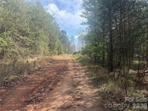 1164 Robert C Kellam Road Pinnacle NC 27043