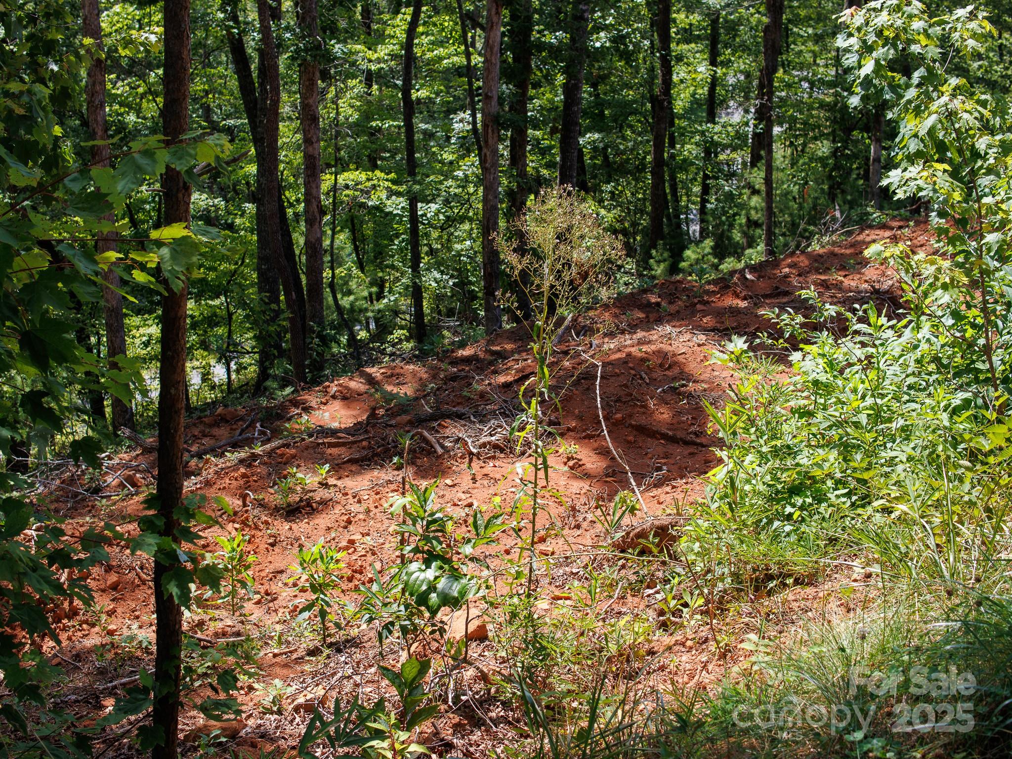 9999 Kimberly Lane Franklin NC 28734