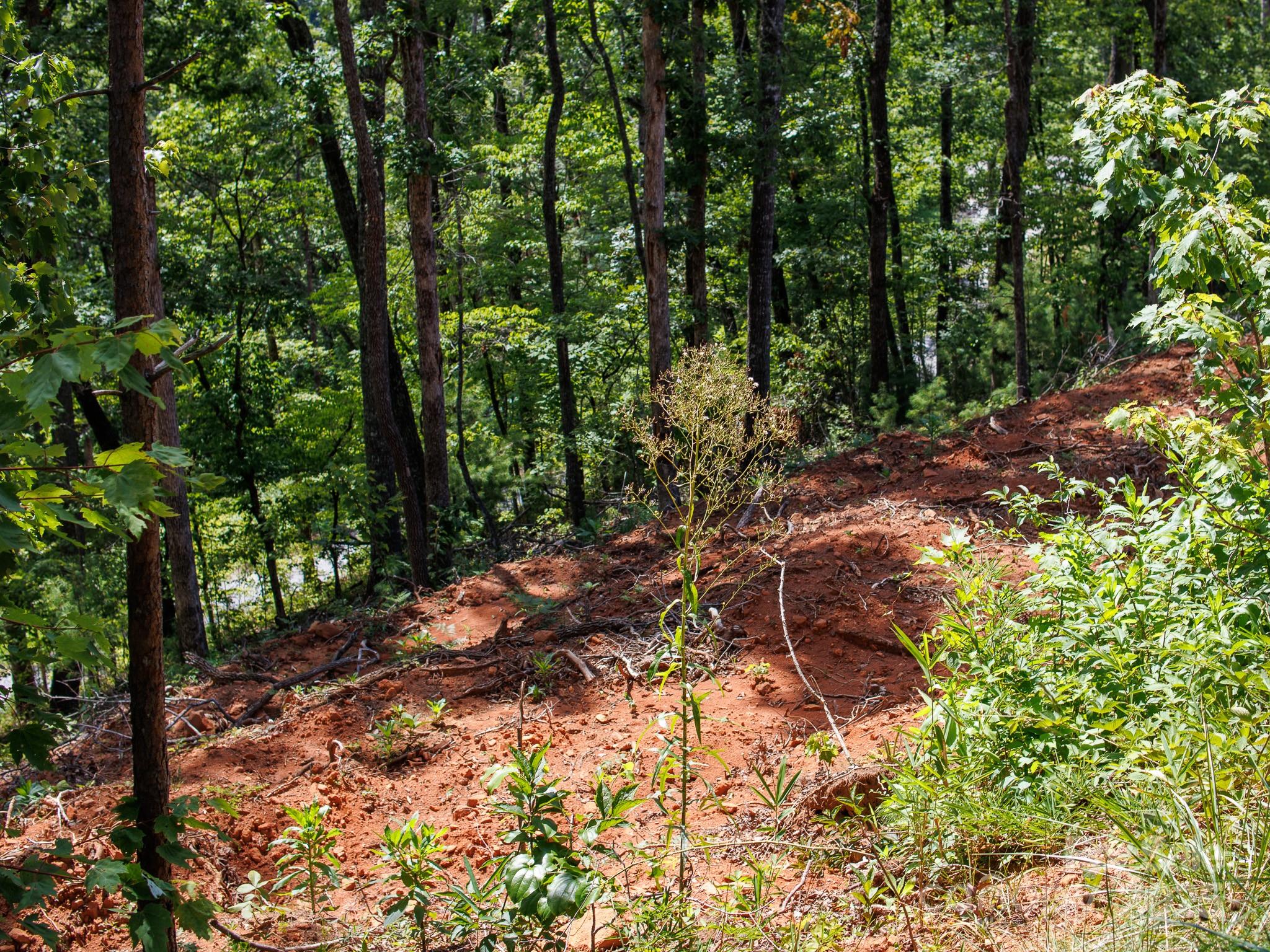9999 Kimberly Lane Franklin NC 28734