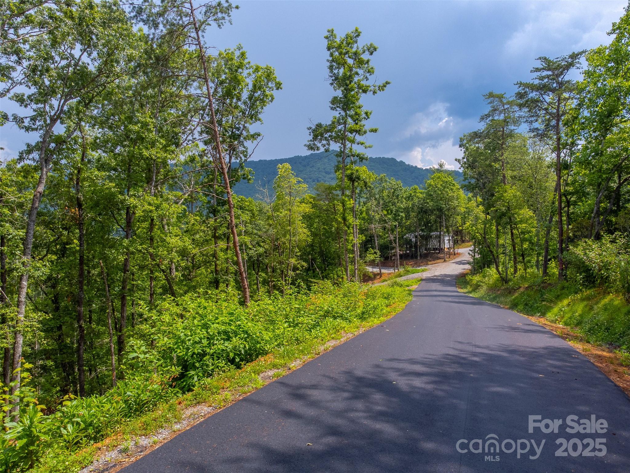 9999 Kimberly Lane Franklin NC 28734