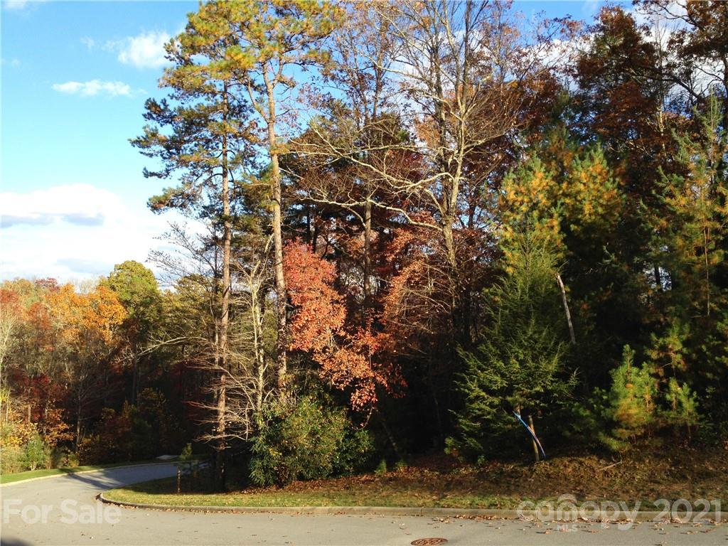Upper Camptown Road Brevard NC 28712