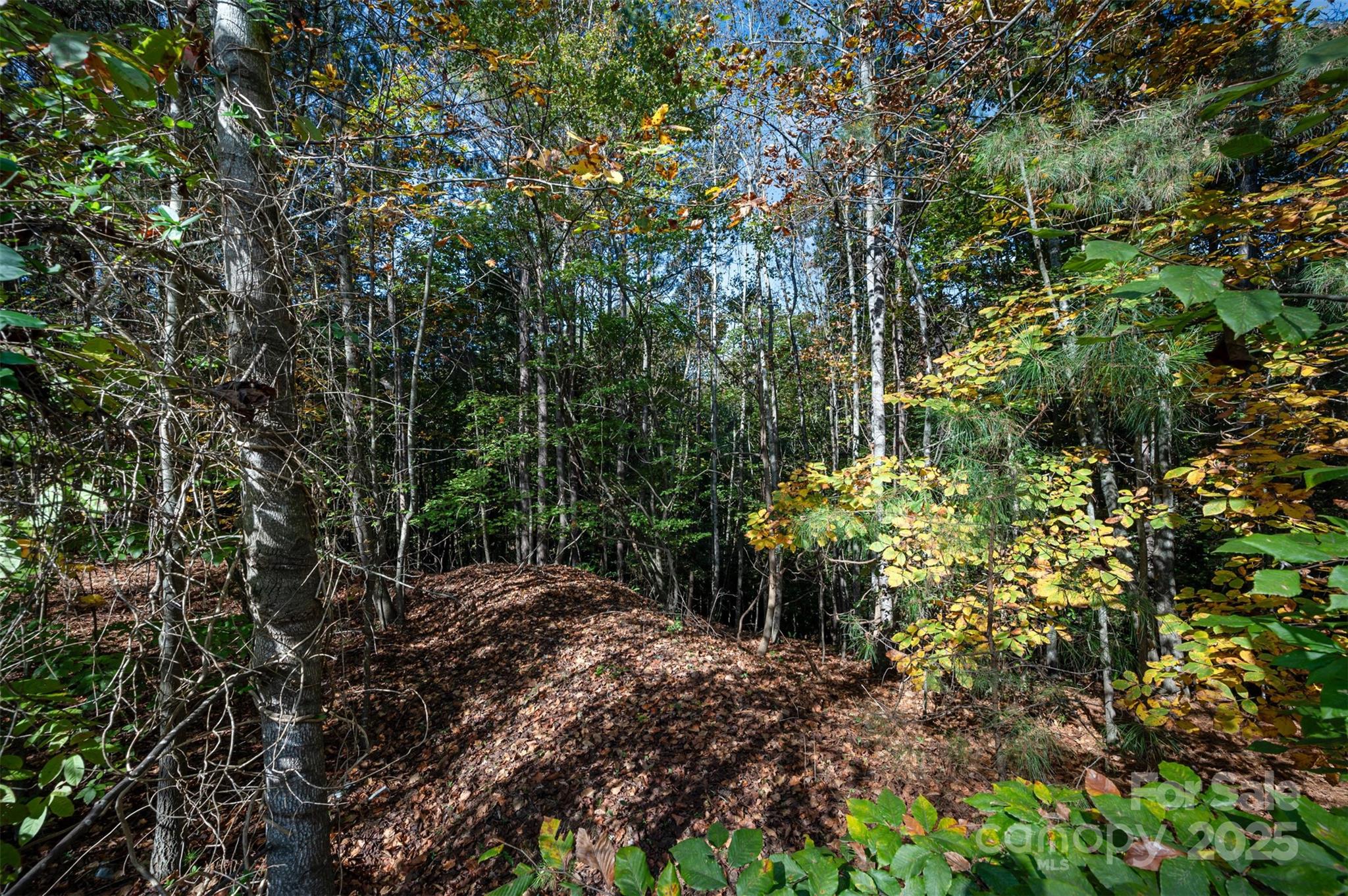 150 Oak Point Lane Stony Point NC 28678
