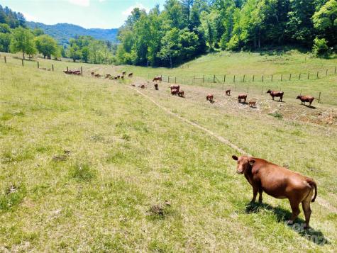 Tbd W Hwy 19 Highway E Burnsville NC 28714