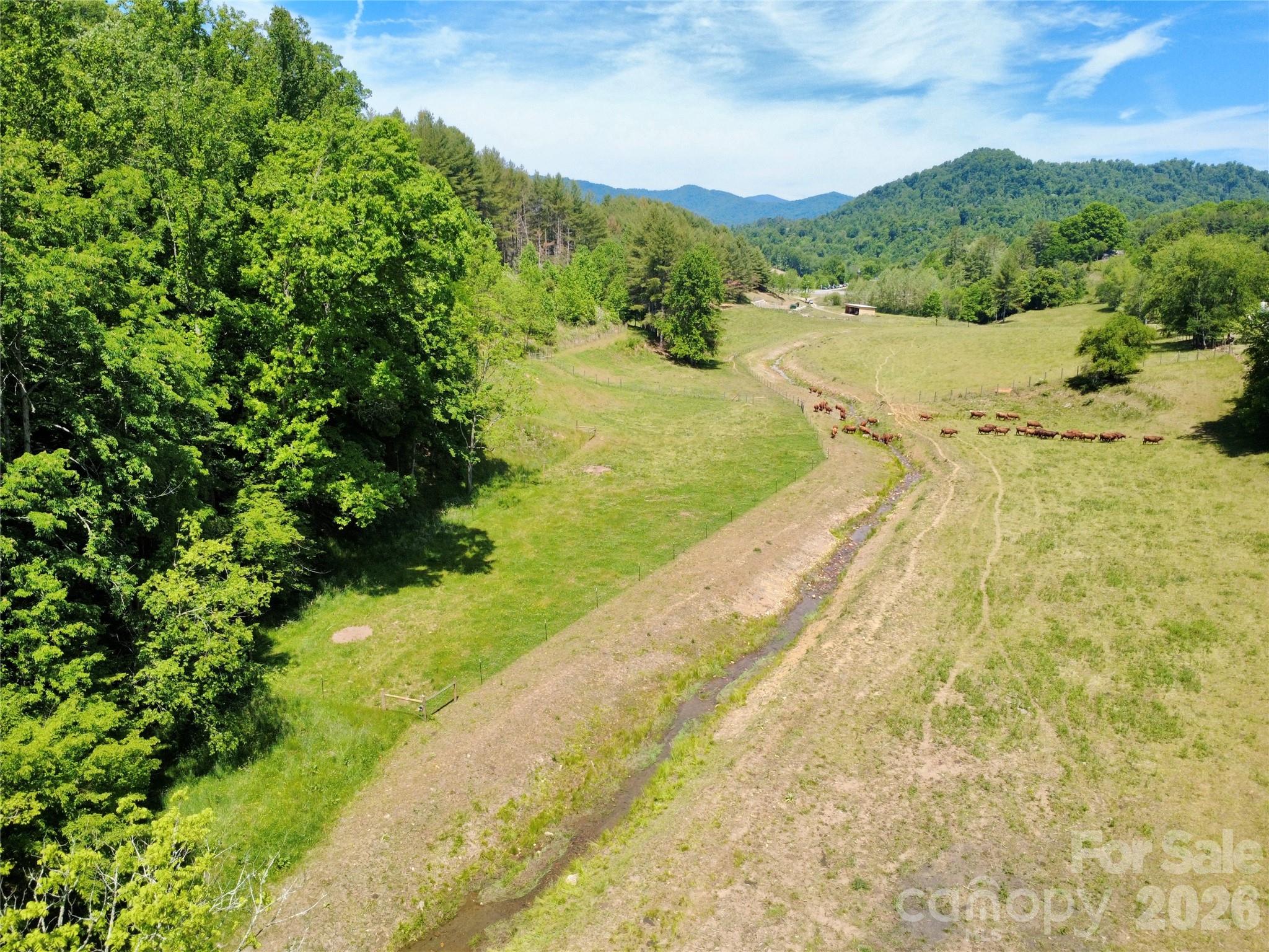 Tbd W Hwy 19 Highway E Burnsville NC 28714