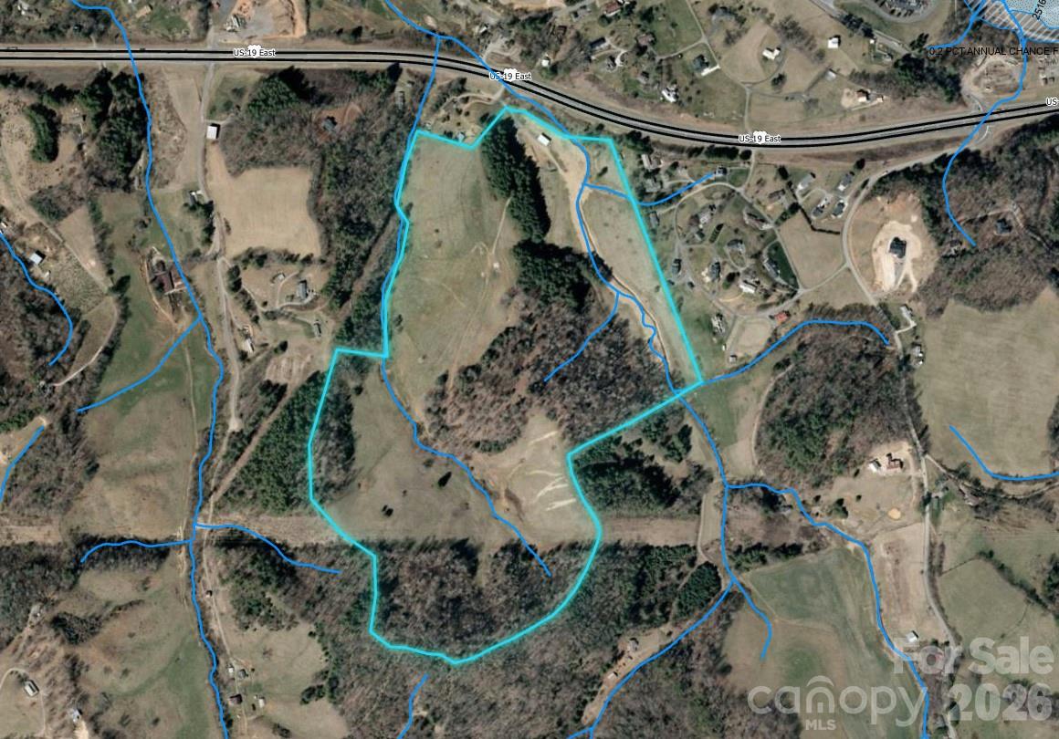 Tbd W Hwy 19 Highway E Burnsville NC 28714