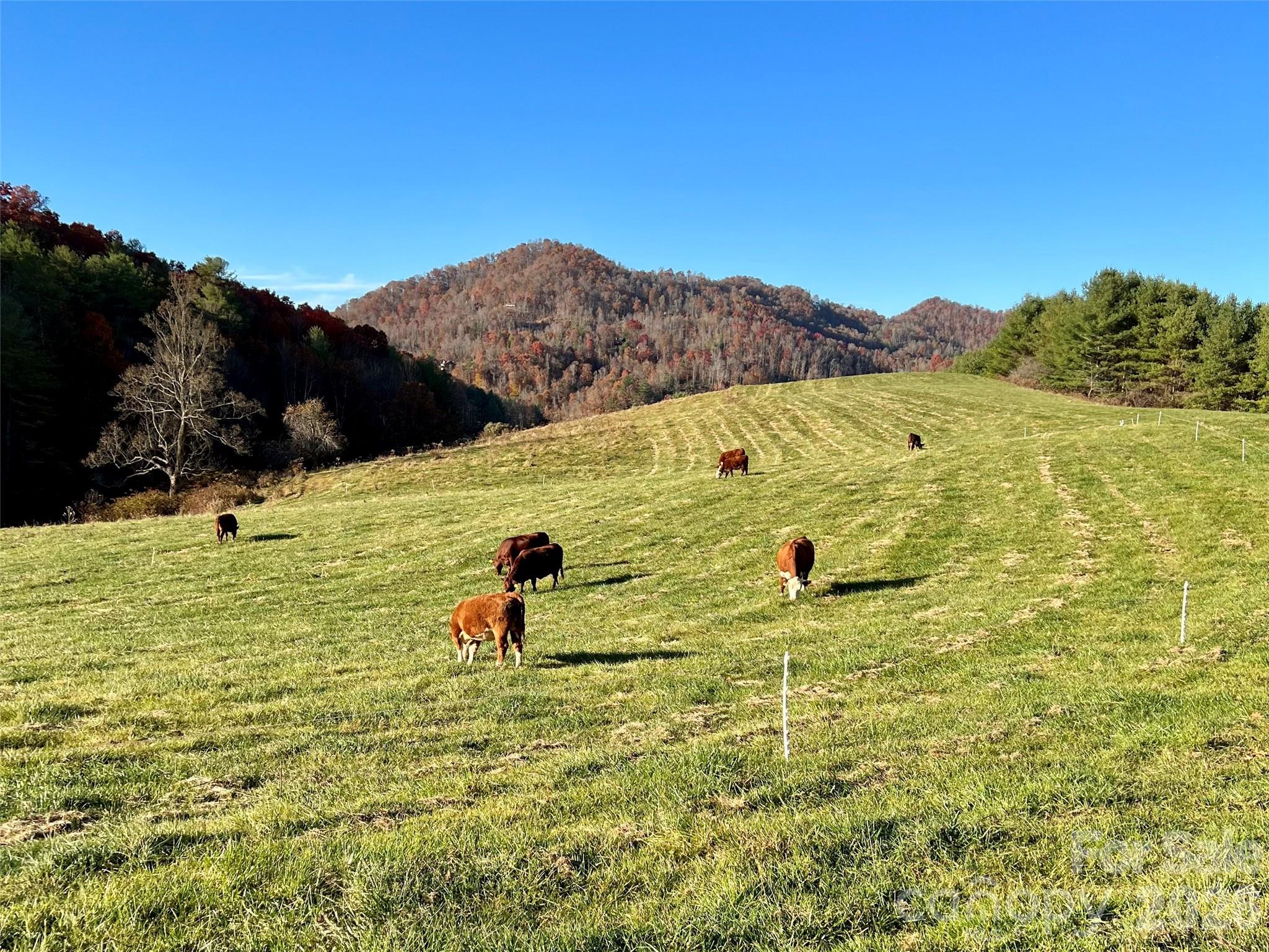 Tbd W Hwy 19 Highway E Burnsville NC 28714