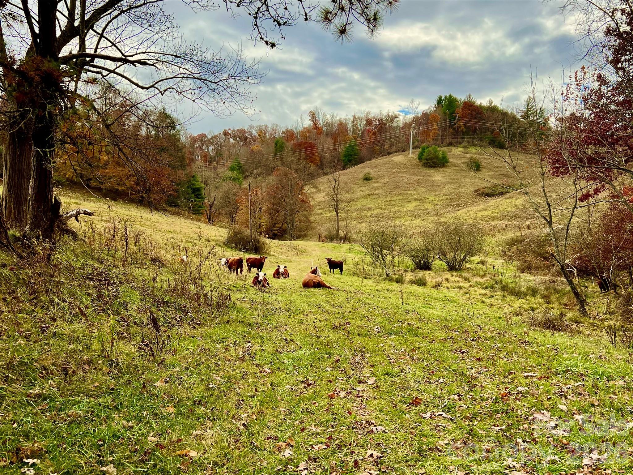 Tbd W Hwy 19 Highway E Burnsville NC 28714