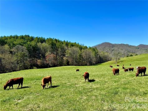 Tbd W Hwy 19 Highway E Burnsville NC 28714
