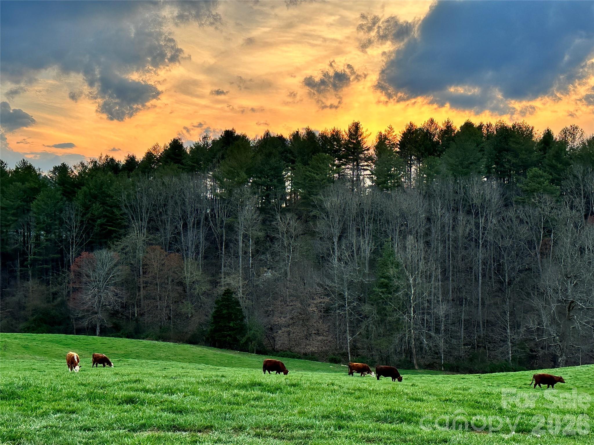 Tbd W Hwy 19 Highway E Burnsville NC 28714