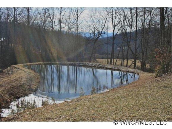 73 Vintage Road Candler NC 28715
