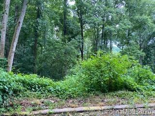 116 Hibriten Drive Asheville NC 28801