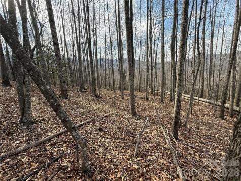 1029 Chippawa Drive Arden NC 28704