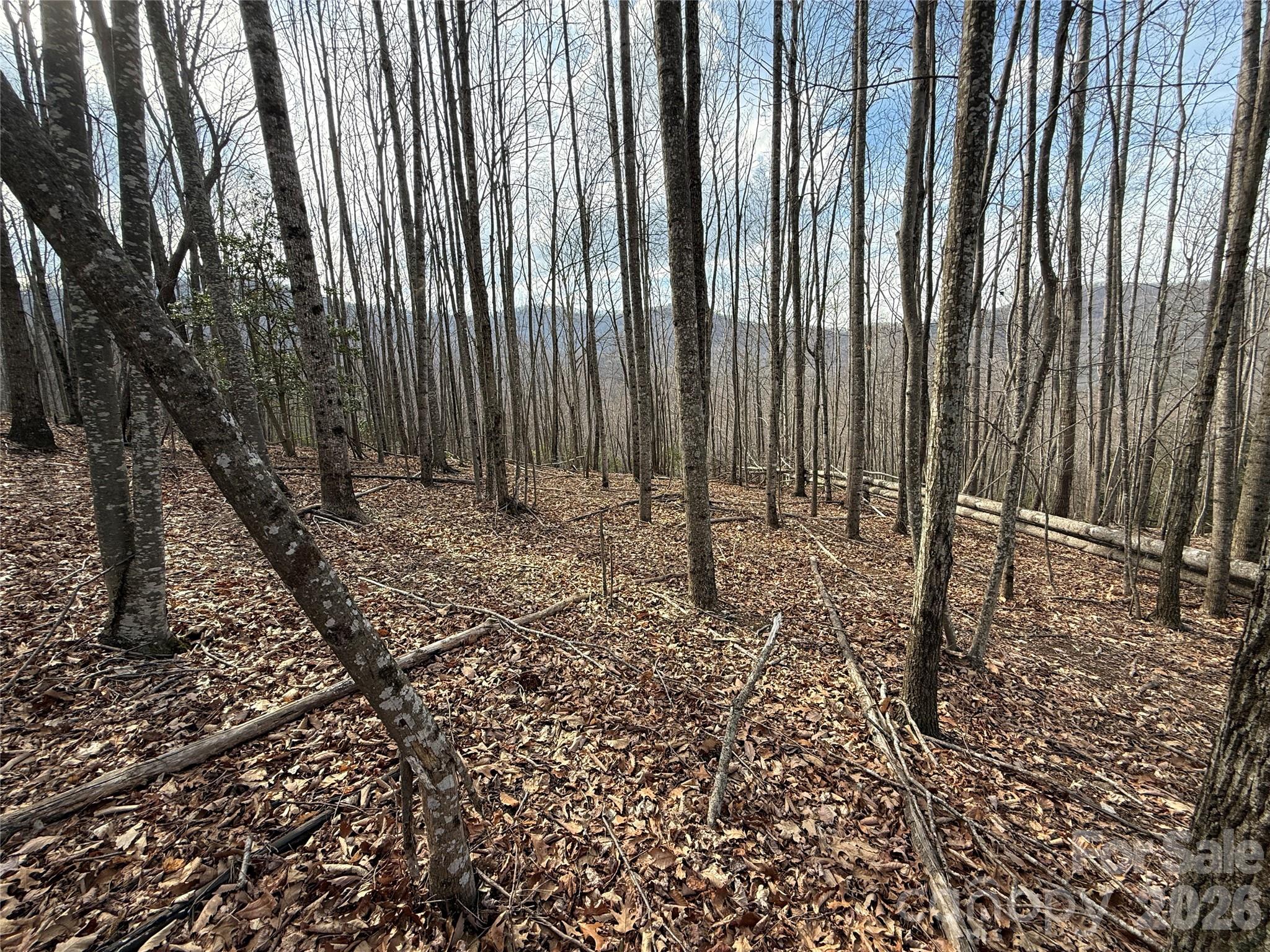 1029 Chippawa Drive Arden NC 28704