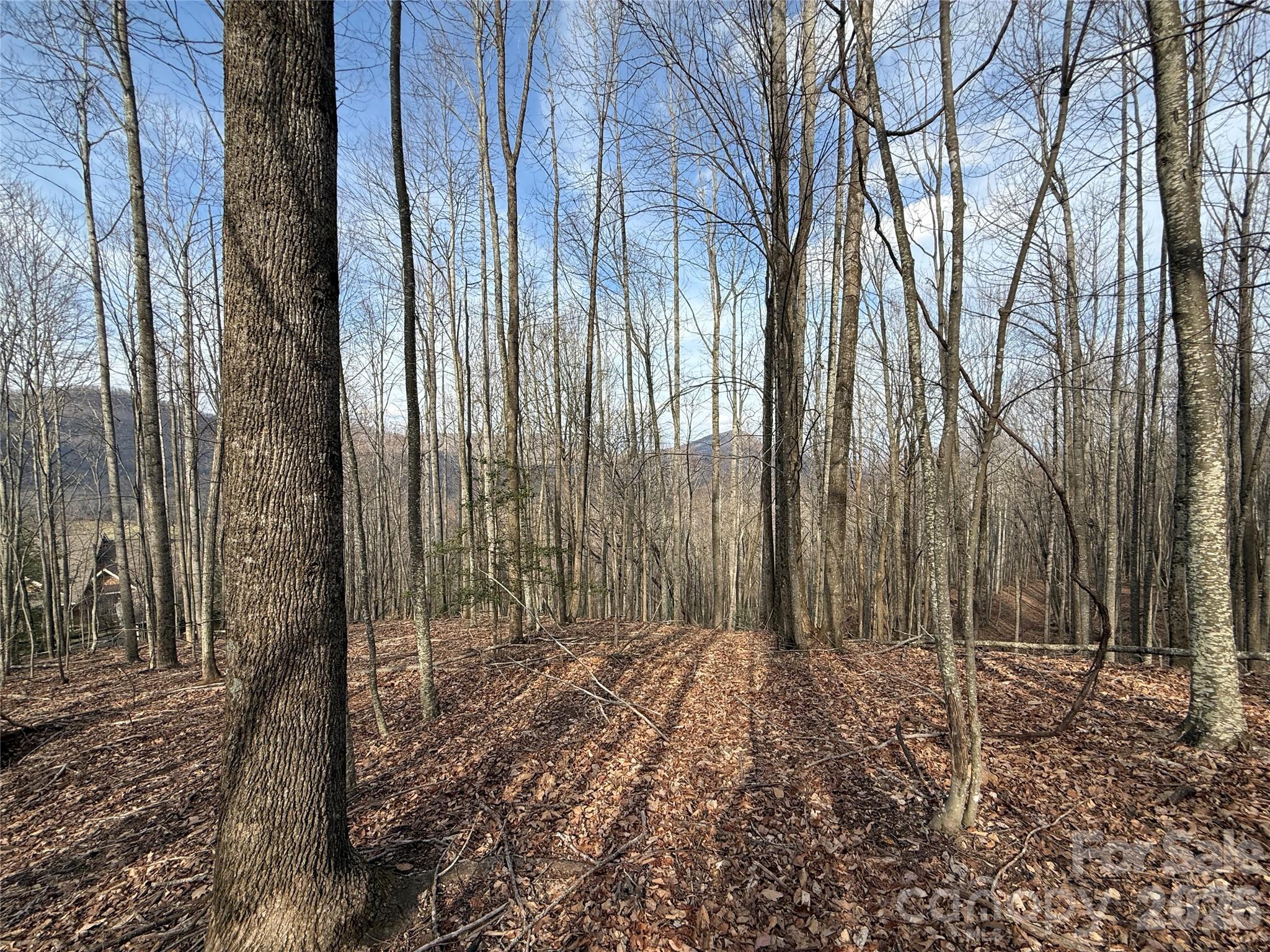 1029 Chippawa Drive Arden NC 28704