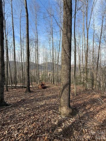 1029 Chippawa Drive Arden NC 28704