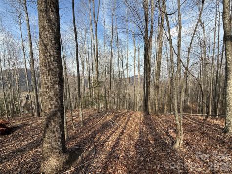 1029 Chippawa Drive Arden NC 28704