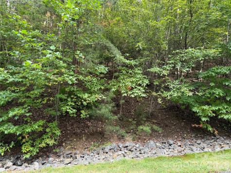 1029 Chippawa Drive Arden NC 28704