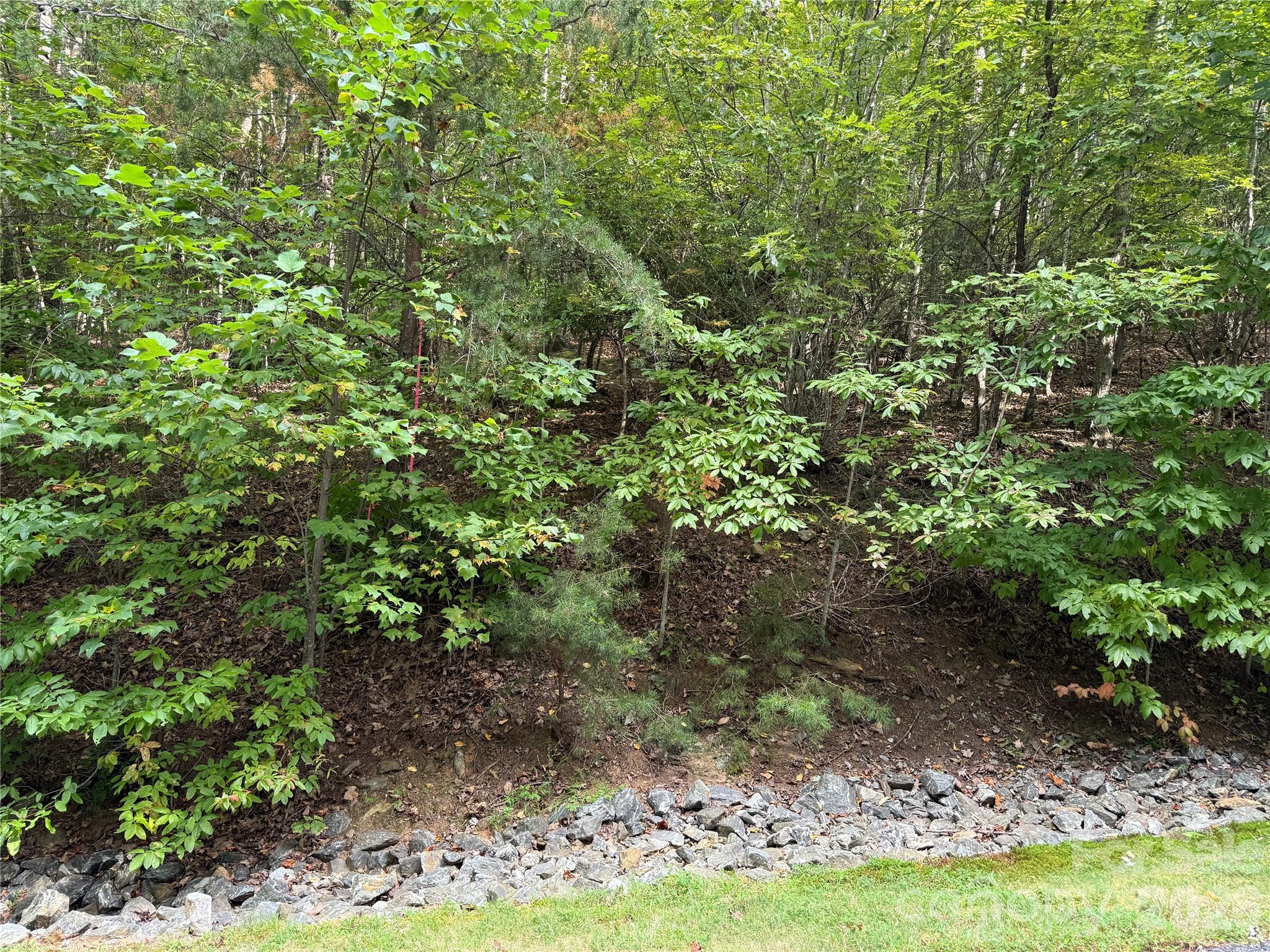 1029 Chippawa Drive Arden NC 28704