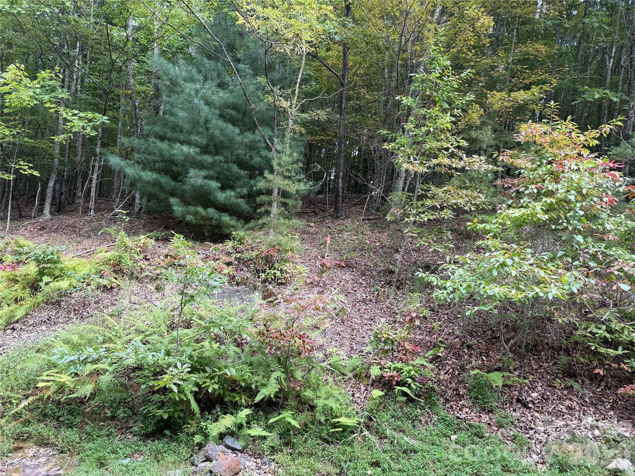 1029 Chippawa Drive Arden NC 28704