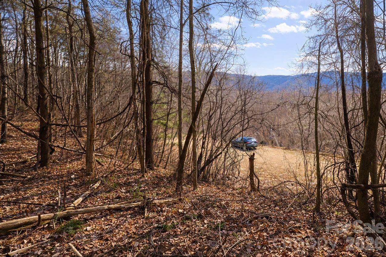 125 Lasso Lane Waynesville NC 28785