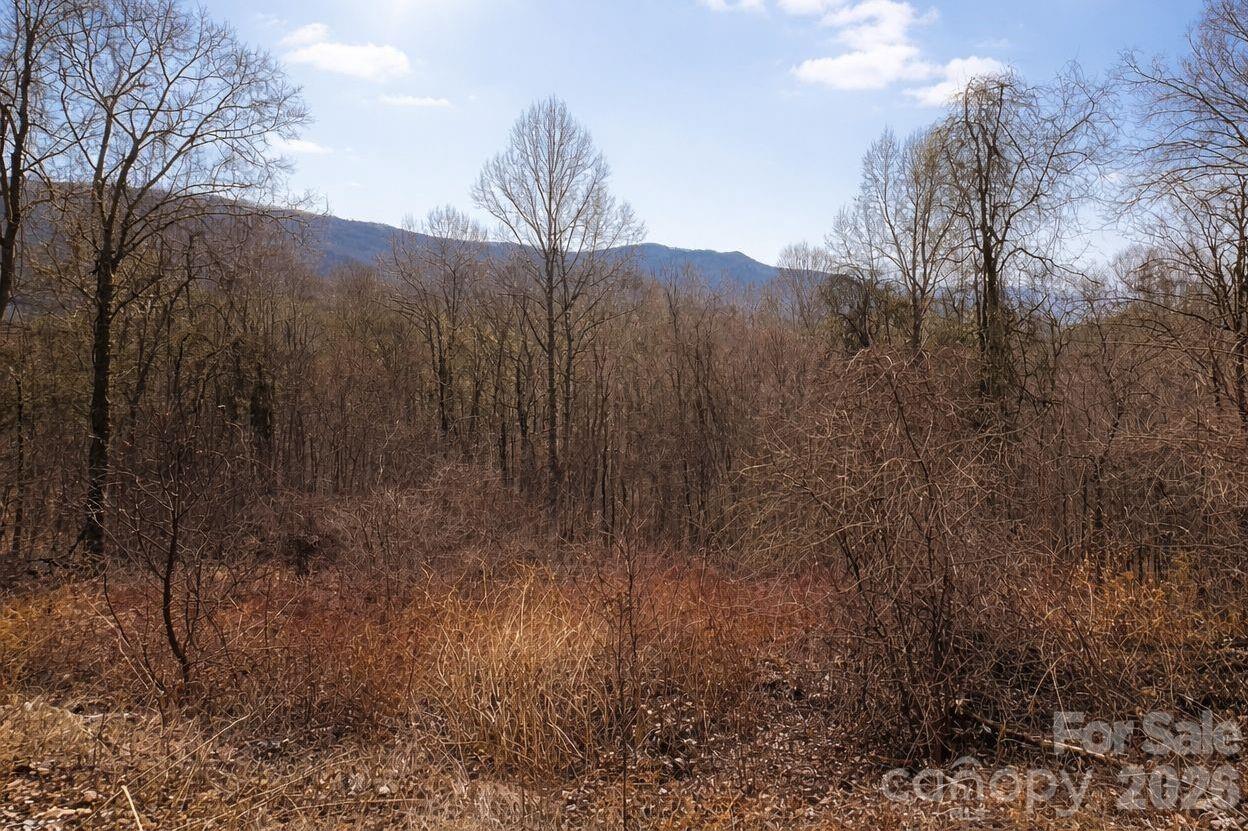 125 Lasso Lane Waynesville NC 28785