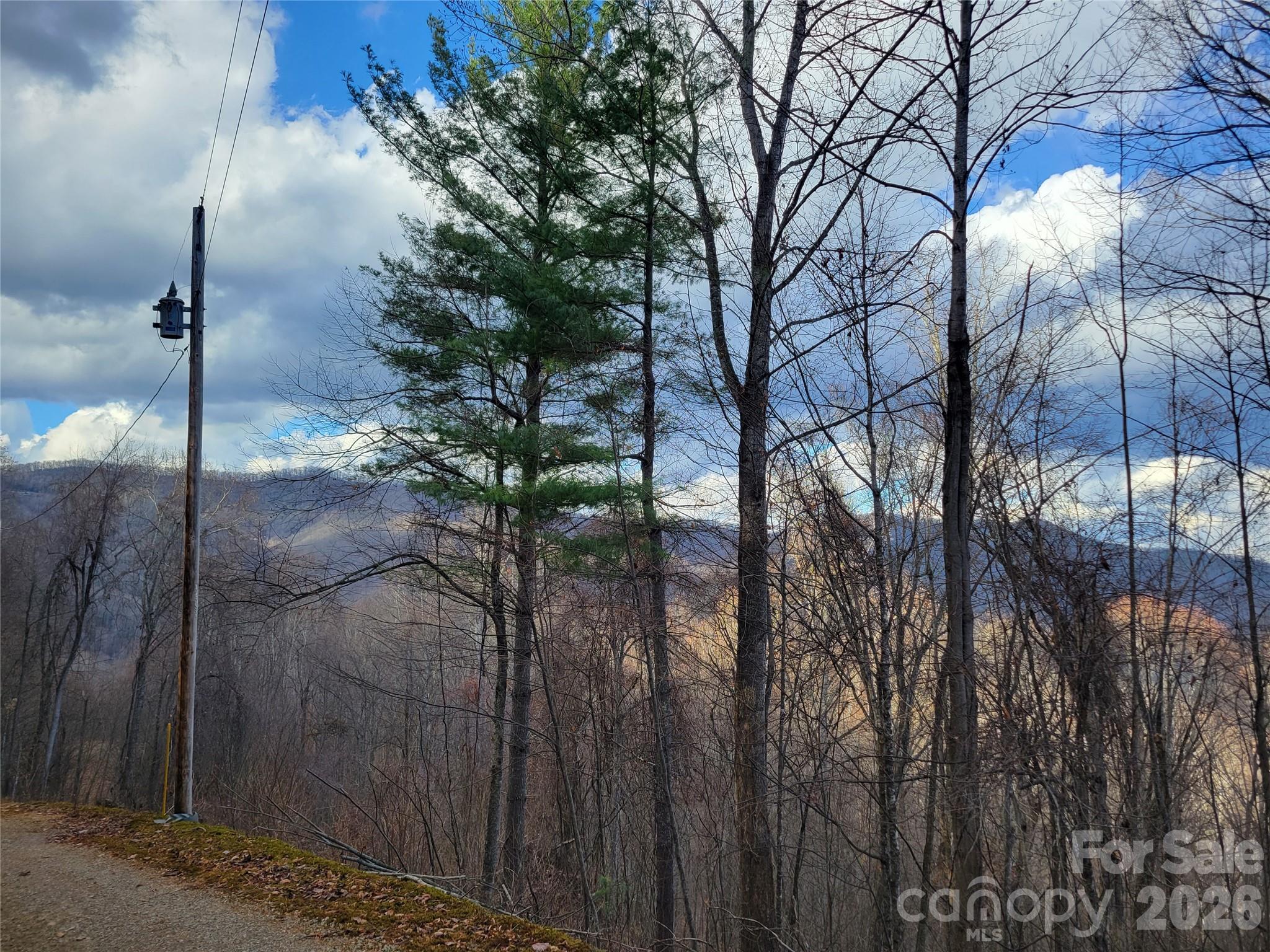 125 Lasso Lane Waynesville NC 28785