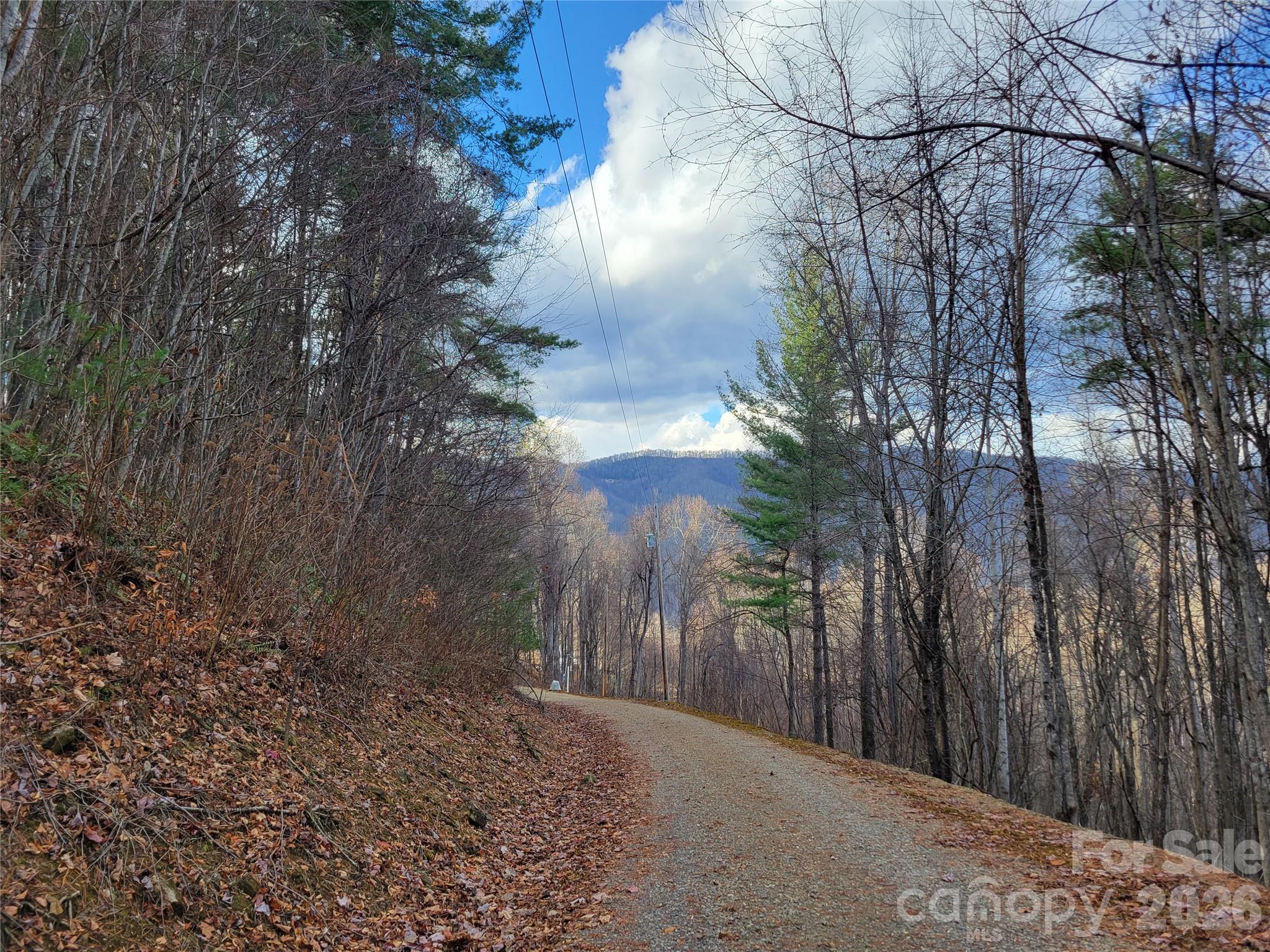 125 Lasso Lane Waynesville NC 28785
