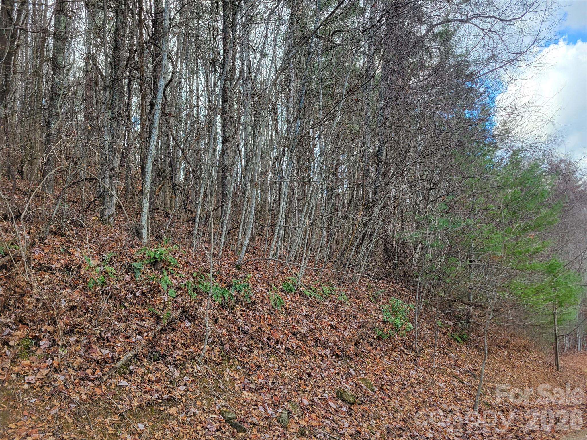 125 Lasso Lane Waynesville NC 28785