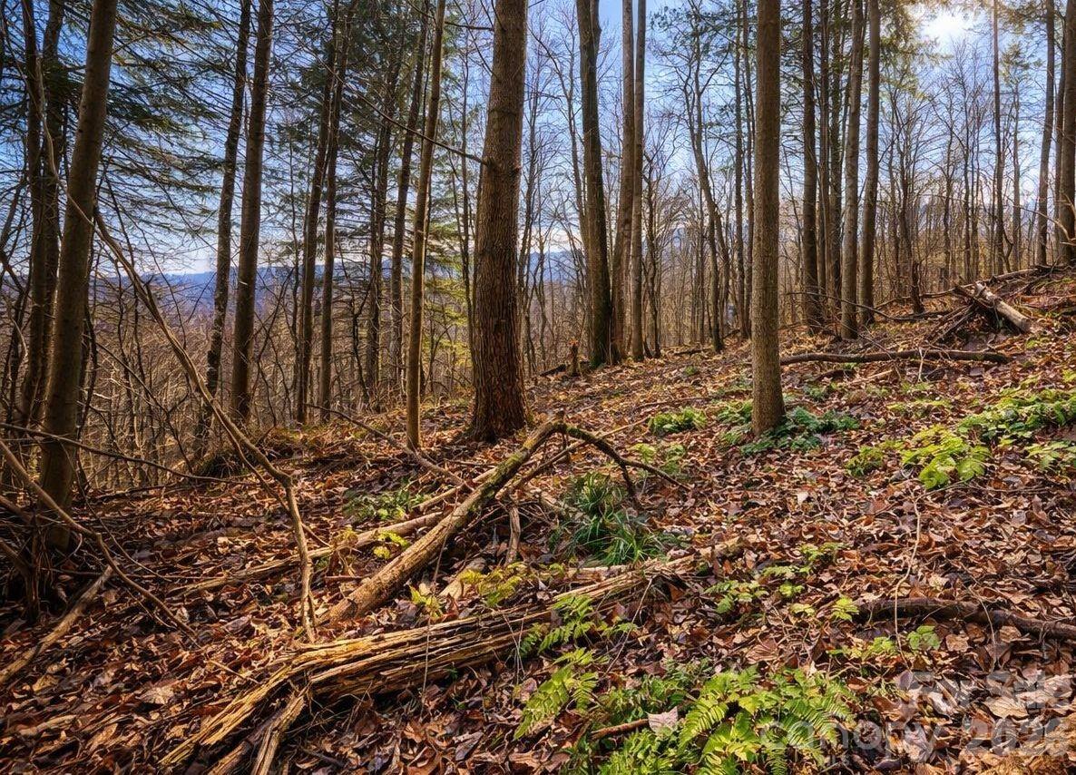 125 Lasso Lane Waynesville NC 28785