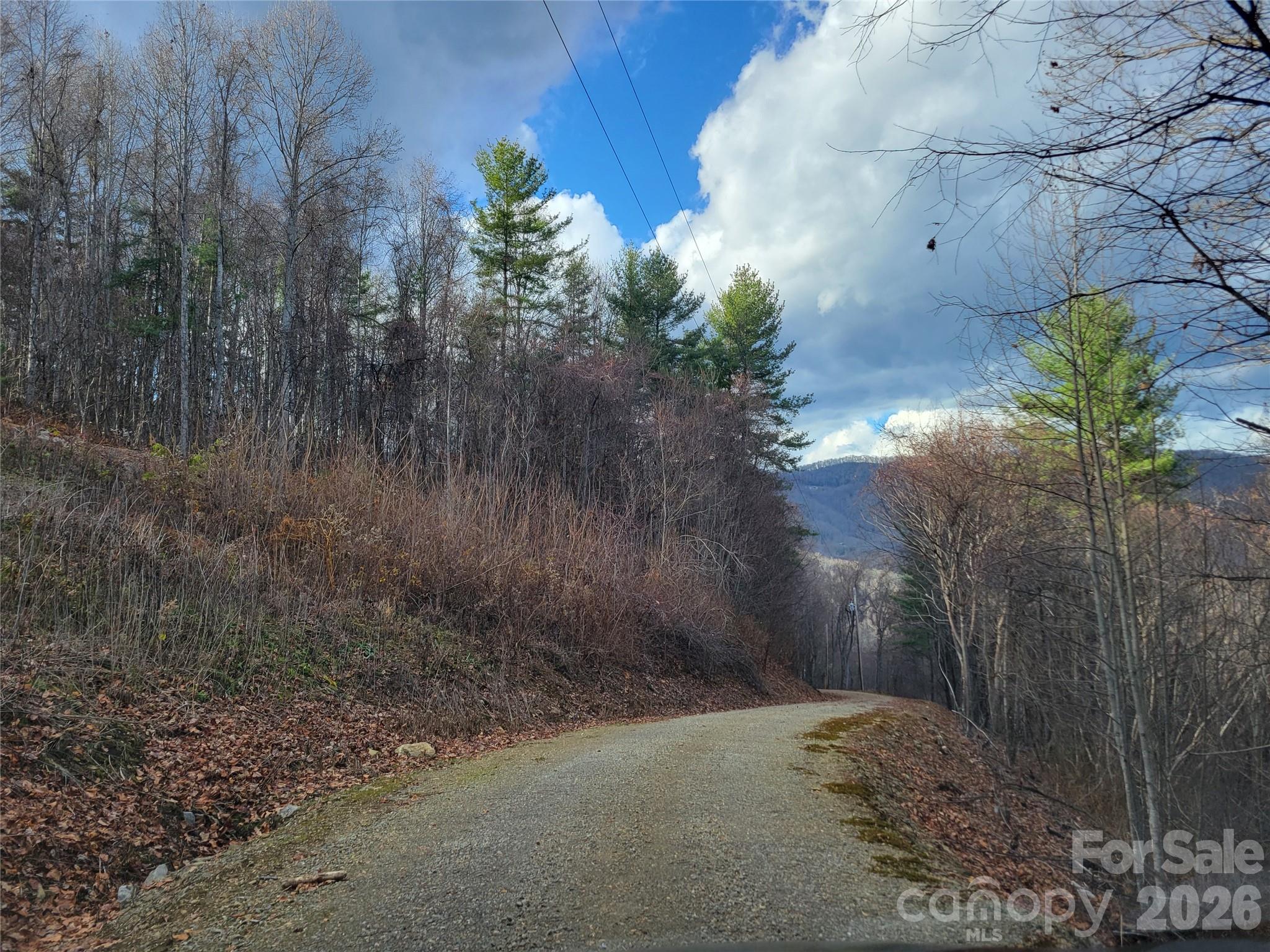 125 Lasso Lane Waynesville NC 28785