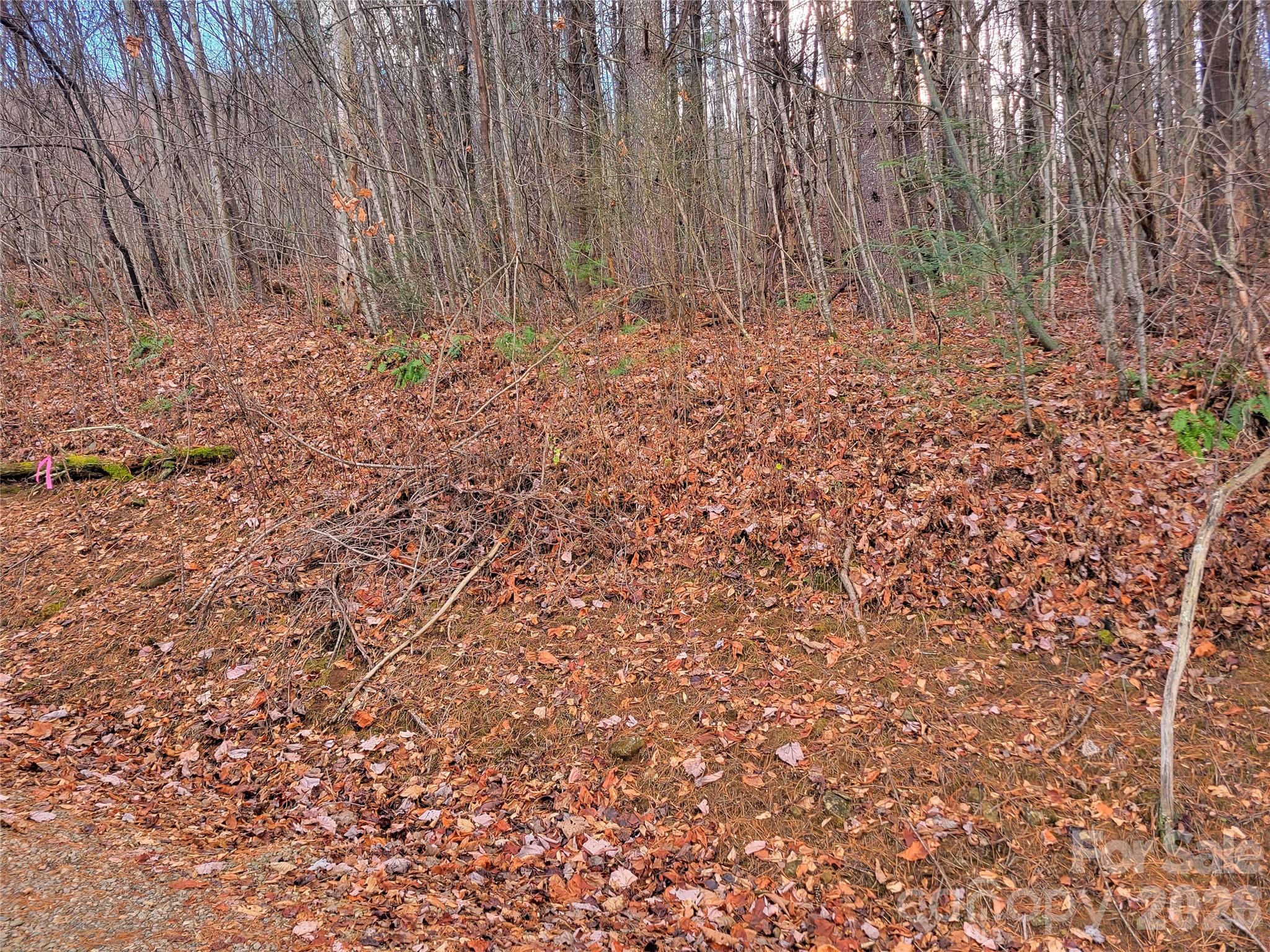 125 Lasso Lane Waynesville NC 28785