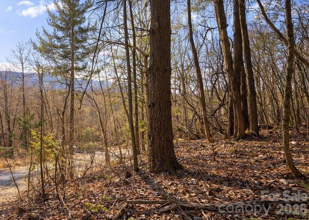 125 Lasso Lane Waynesville NC 28785