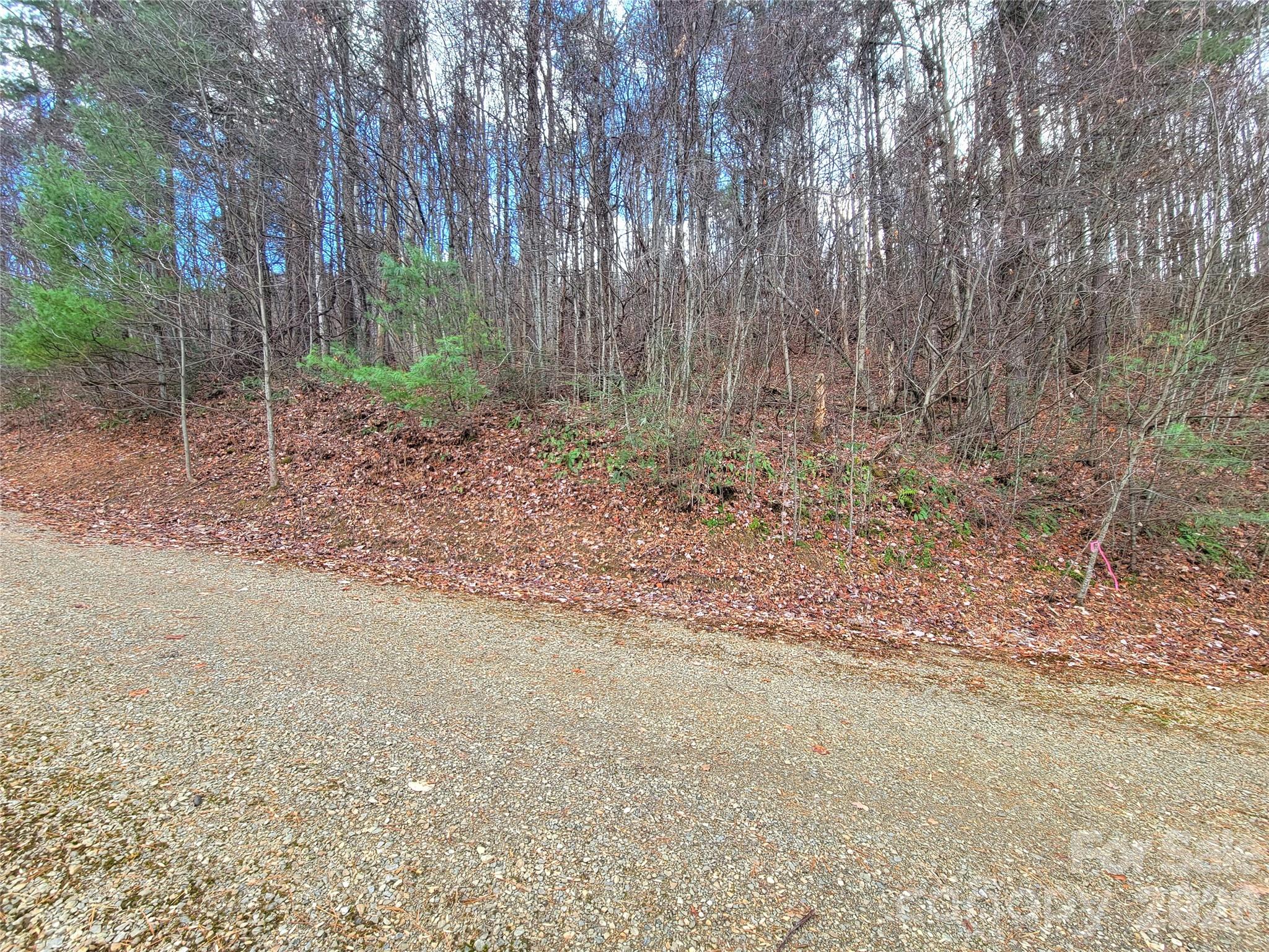 125 Lasso Lane Waynesville NC 28785