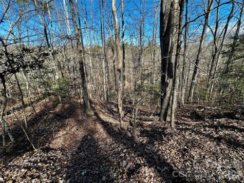Lot 11 Blue Mist Mountain Road Whittier NC 28789
