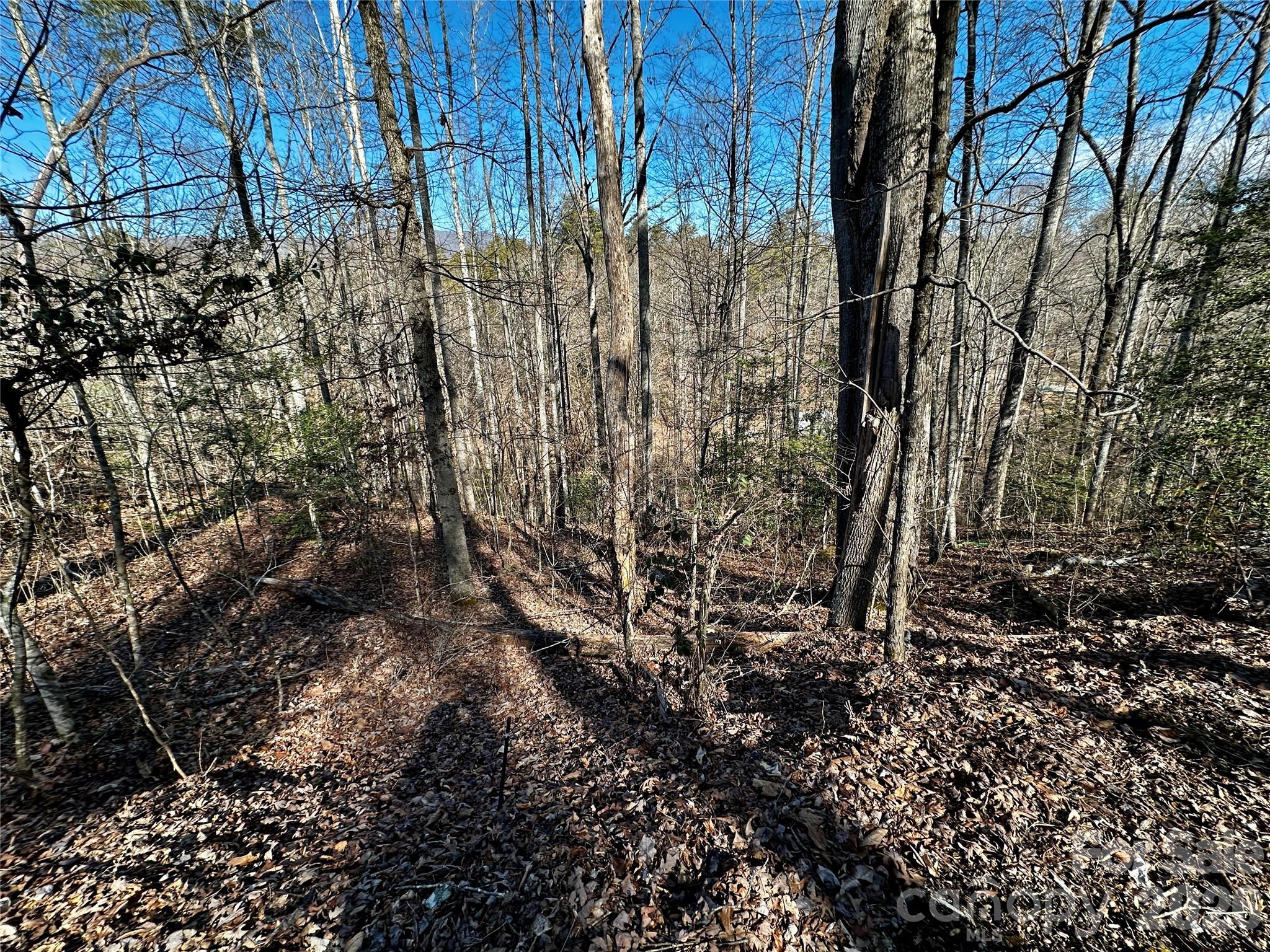 Lot 11 Blue Mist Mountain Road Whittier NC 28789