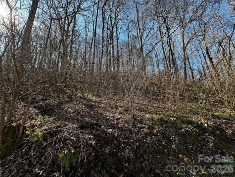 Lot 11 Blue Mist Mountain Road Whittier NC 28789