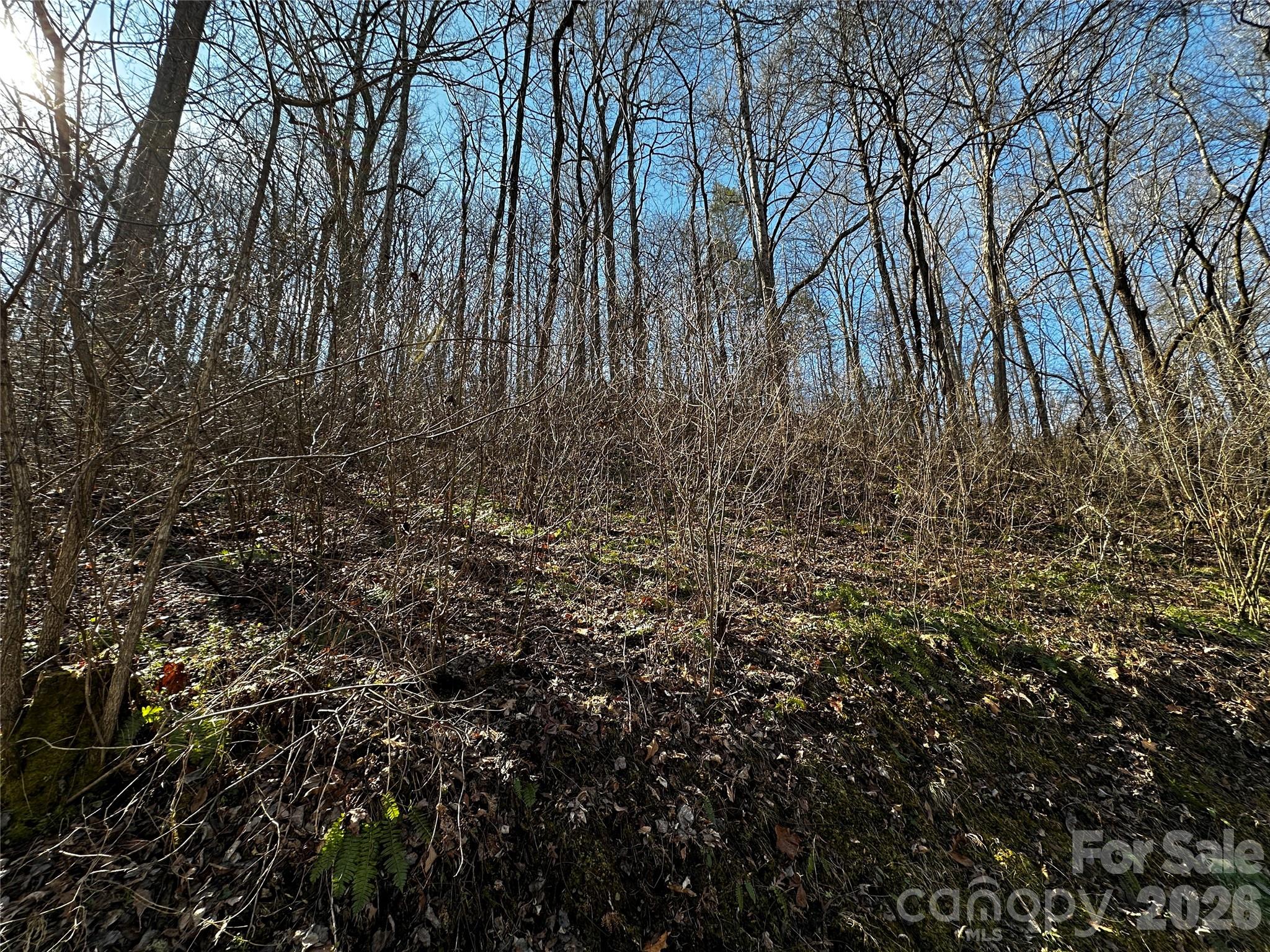 Lot 11 Blue Mist Mountain Road Whittier NC 28789
