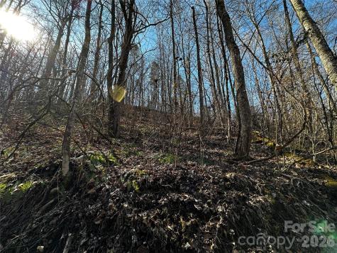 Lot 11 Blue Mist Mountain Road Whittier NC 28789