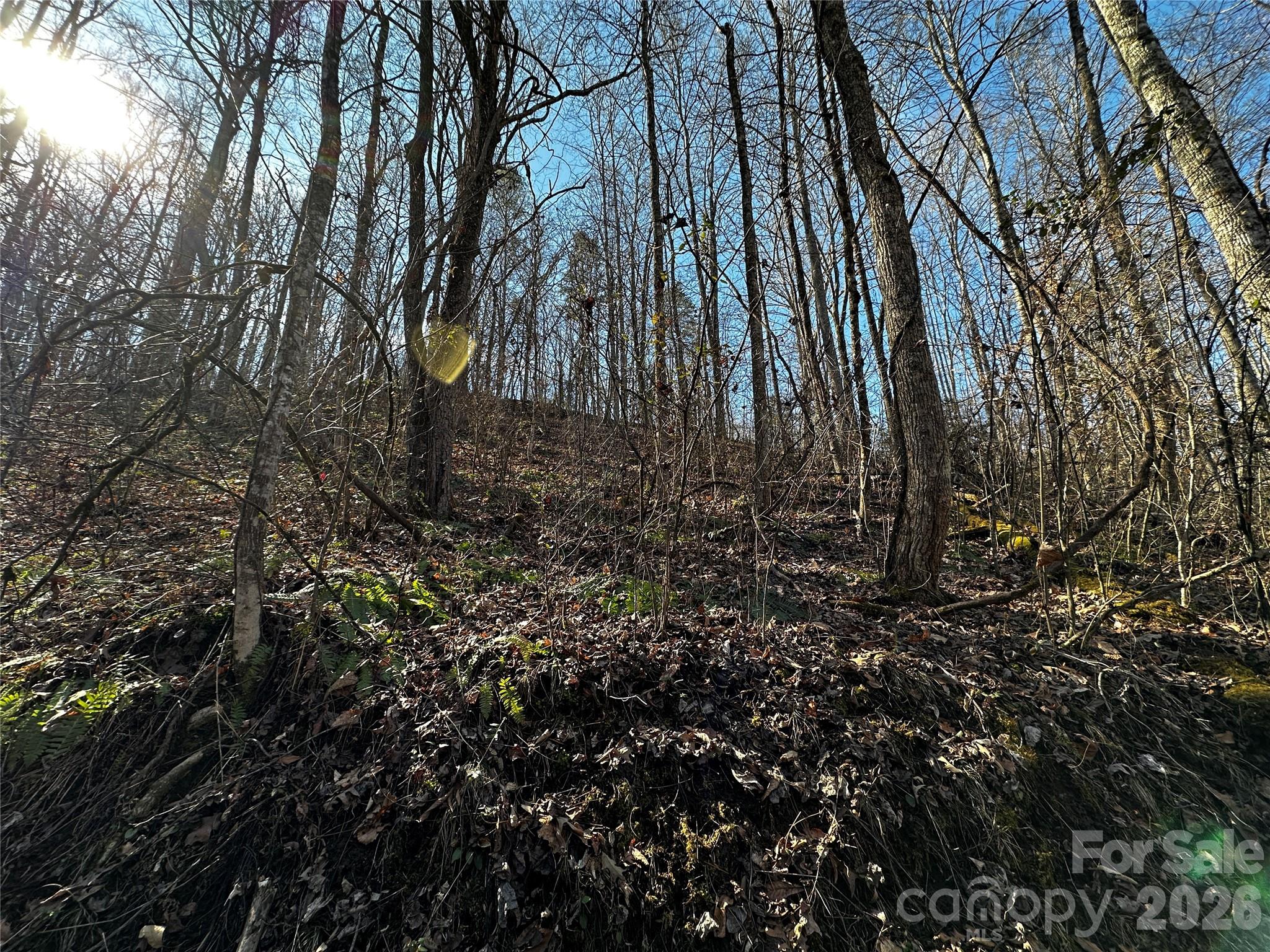 Lot 11 Blue Mist Mountain Road Whittier NC 28789