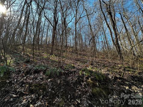 Lot 11 Blue Mist Mountain Road Whittier NC 28789