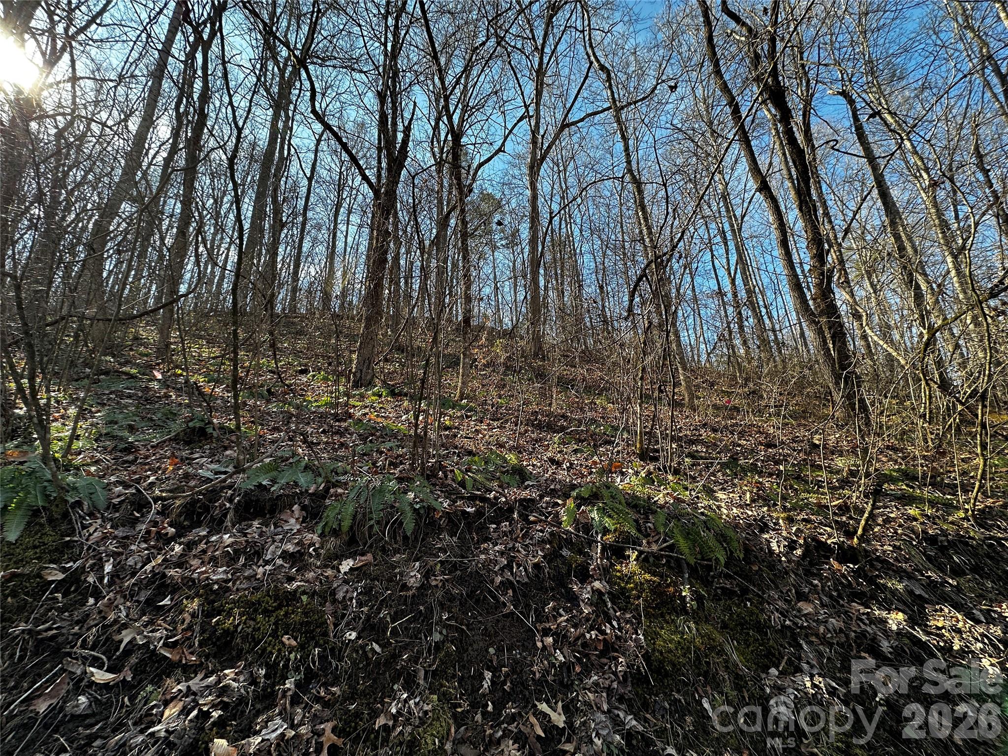 Lot 11 Blue Mist Mountain Road Whittier NC 28789