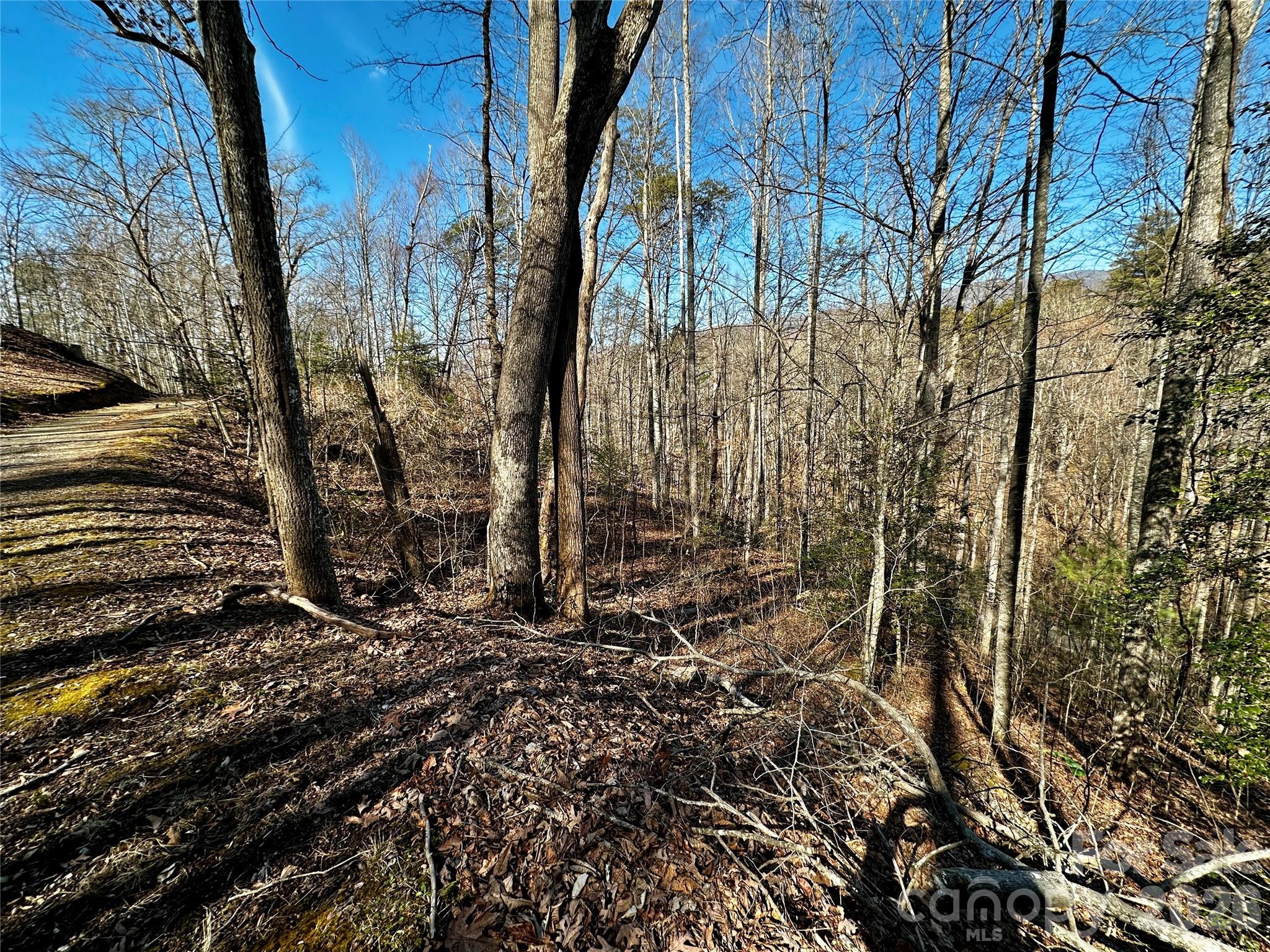 Lot 11 Blue Mist Mountain Road Whittier NC 28789