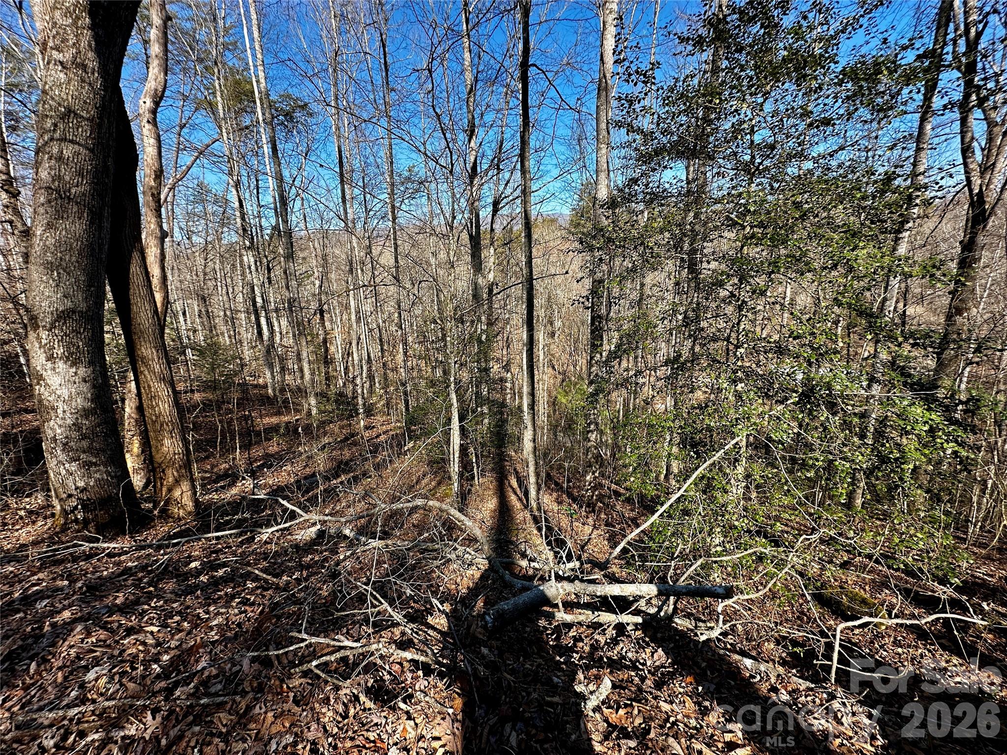 Lot 11 Blue Mist Mountain Road Whittier NC 28789