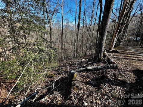 Lot 11 Blue Mist Mountain Road Whittier NC 28789
