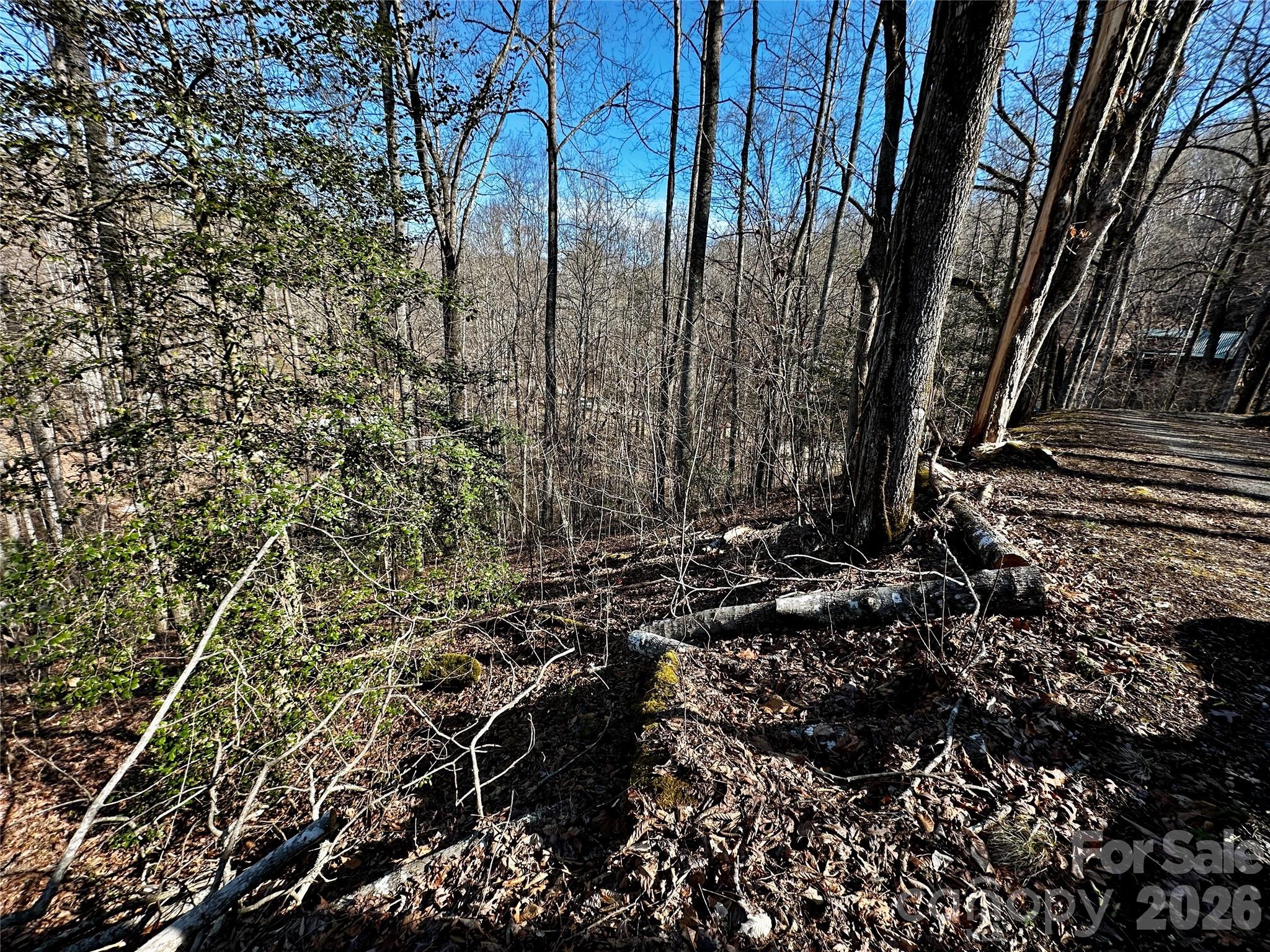 Lot 11 Blue Mist Mountain Road Whittier NC 28789