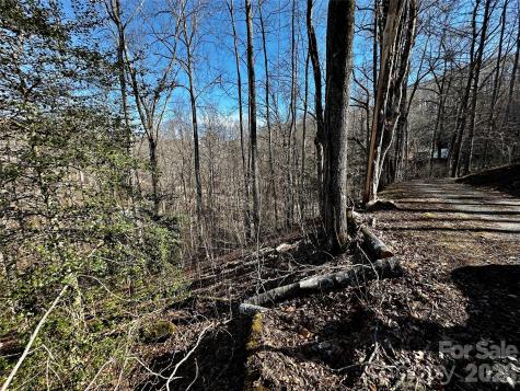 Lot 11 Blue Mist Mountain Road Whittier NC 28789