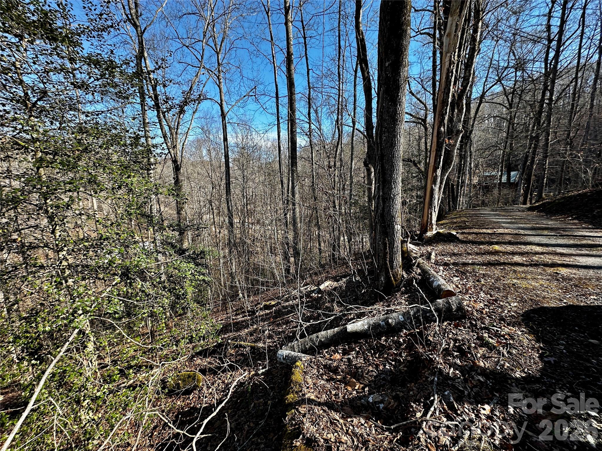 Lot 11 Blue Mist Mountain Road Whittier NC 28789