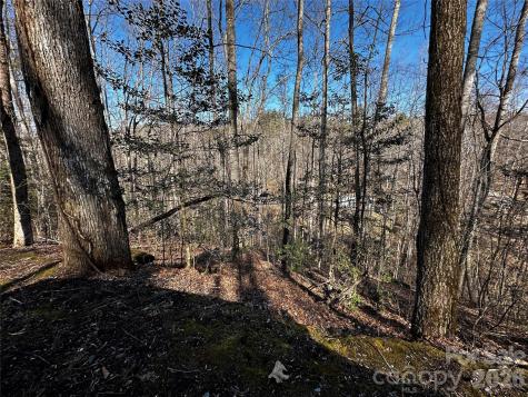 Lot 11 Blue Mist Mountain Road Whittier NC 28789
