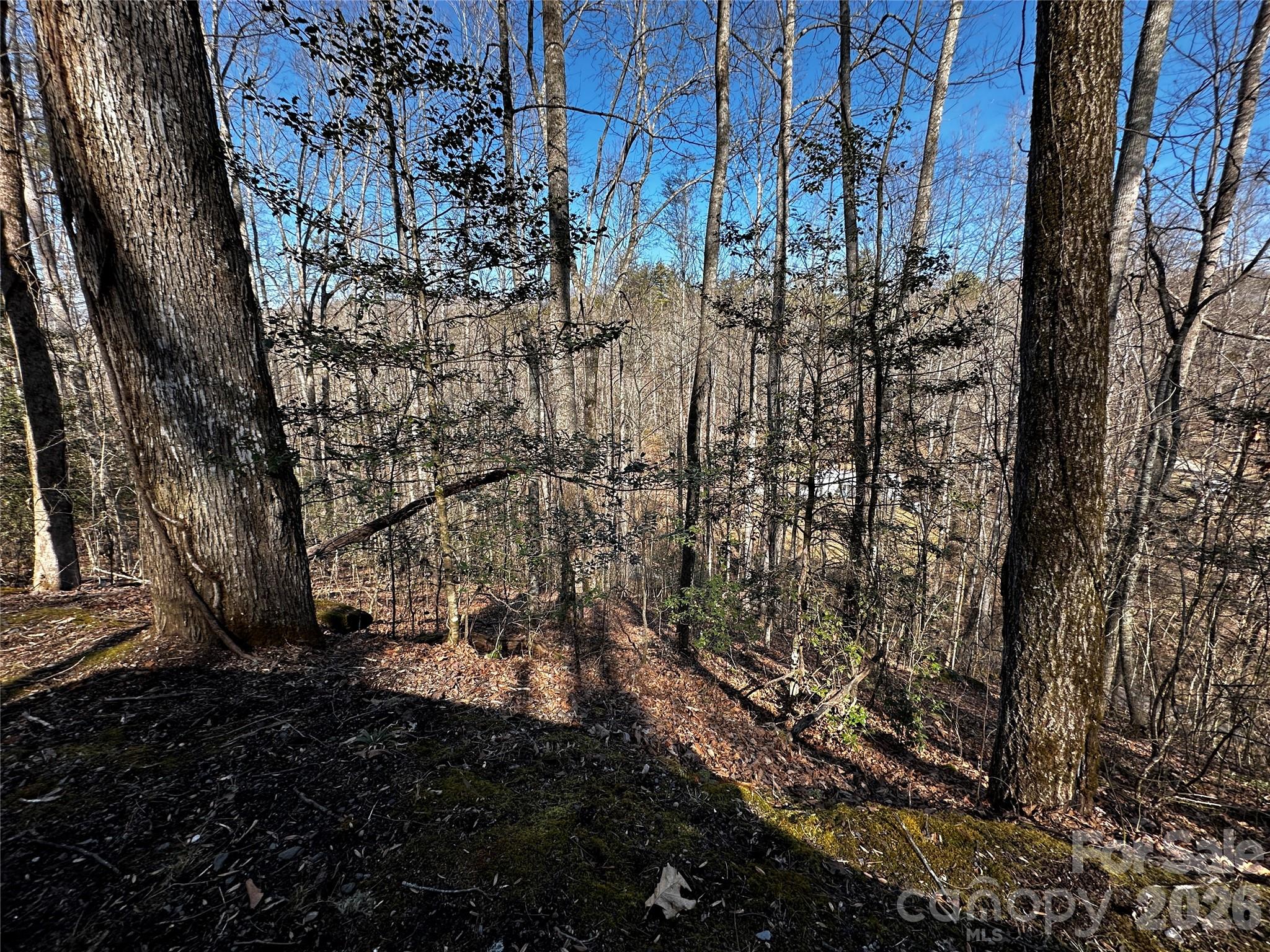 Lot 11 Blue Mist Mountain Road Whittier NC 28789
